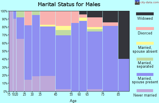Shelby County marital status for males