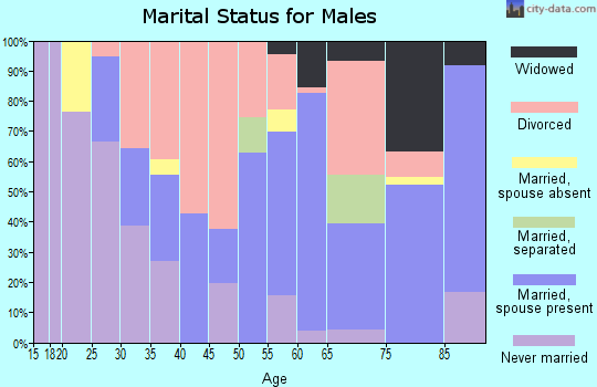 Meagher County marital status for males