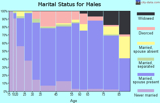 Saginaw County marital status for males