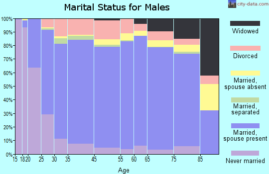 Union County marital status for males