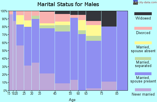 Roane County marital status for males