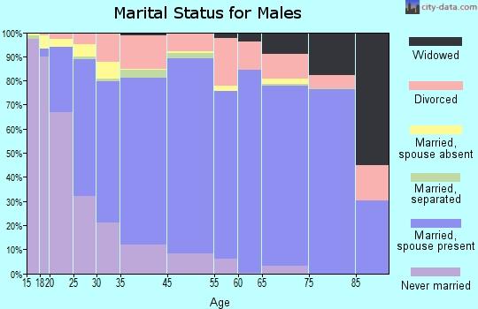 Powhatan County marital status for males