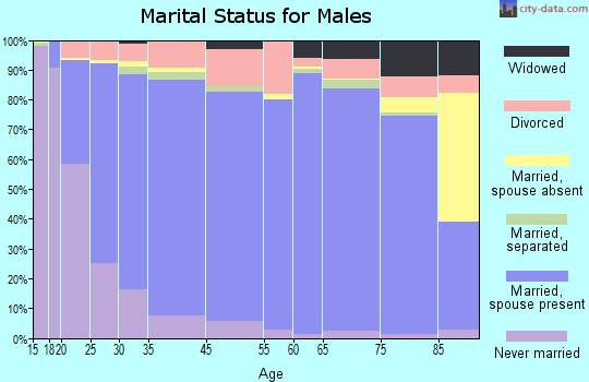 Piatt County marital status for males