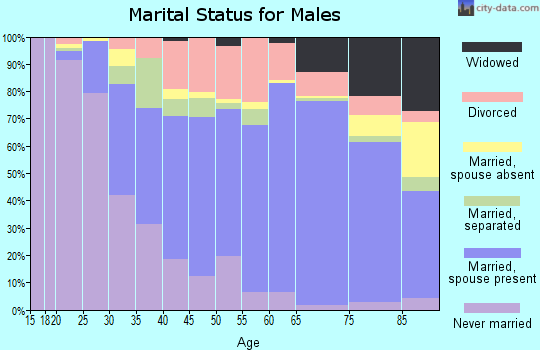 Laurens County marital status for males