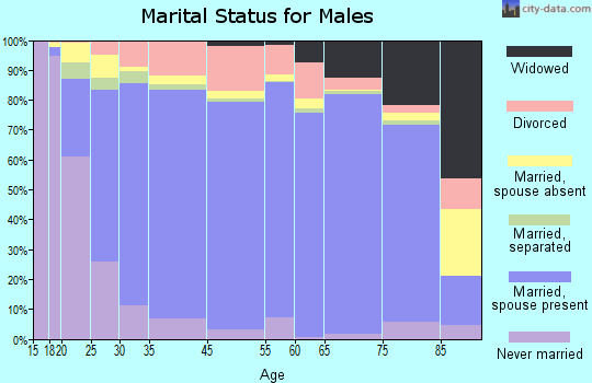 Steele County marital status for males