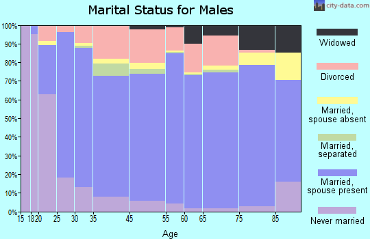 Washington County marital status for males