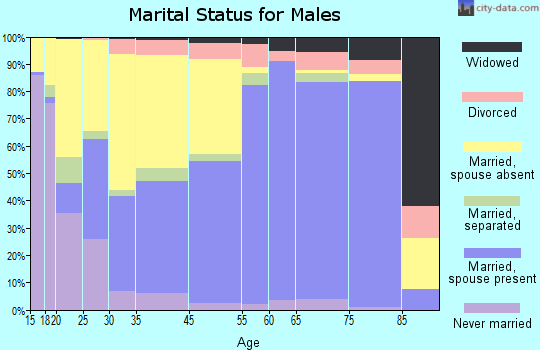 Rock County marital status for males