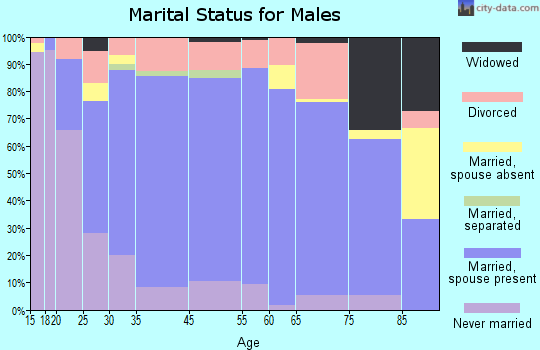 Shelby County marital status for males