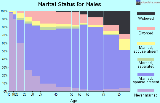 Pope County marital status for males