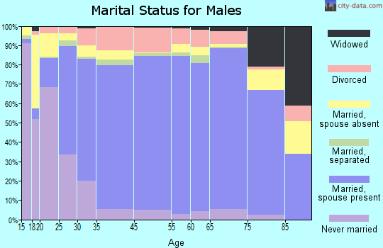 Madison County marital status for males