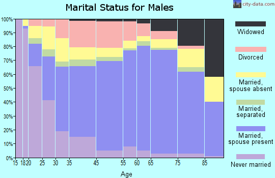 Swift County marital status for males