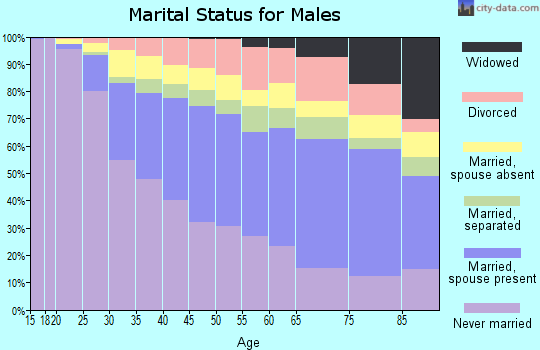 Bronx County marital status for males