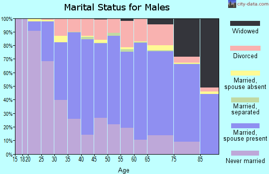 Houghton County marital status for males