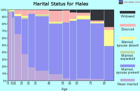 Sullivan County marital status for males