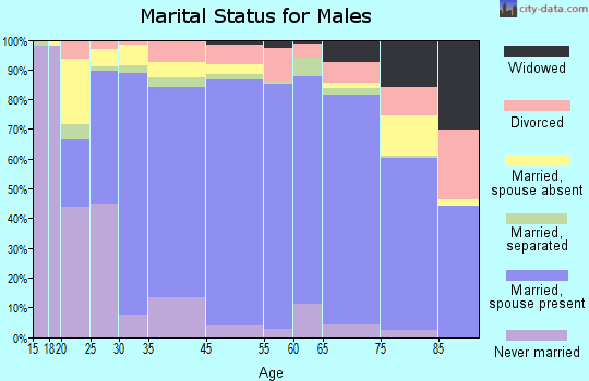 Rawlins County marital status for males