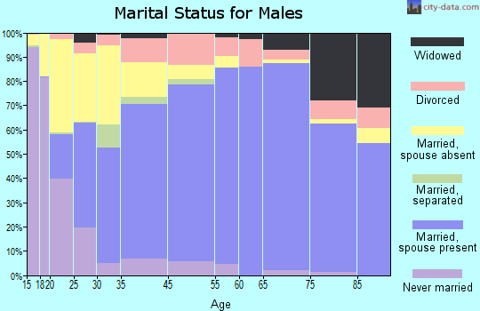 Schoolcraft County marital status for males
