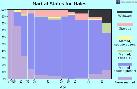 Bath County marital status for males