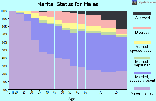 New York County marital status for males