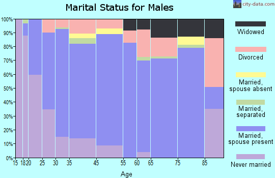 Summit County marital status for males