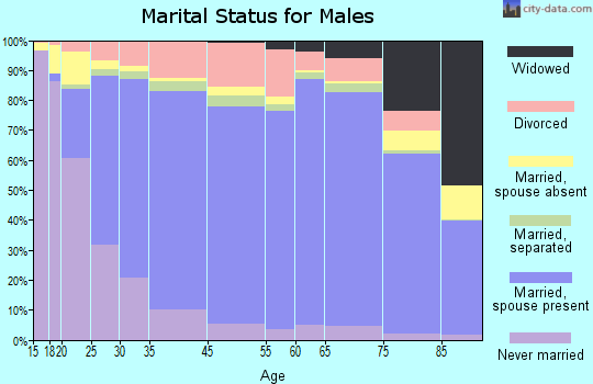 Irwin County marital status for males