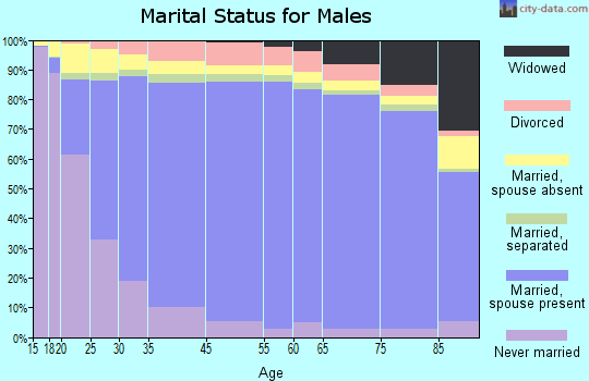 Shiawassee County marital status for males
