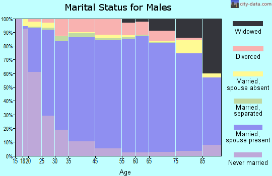 Webster County marital status for males