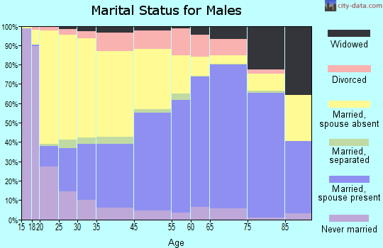 Kennebec County marital status for males