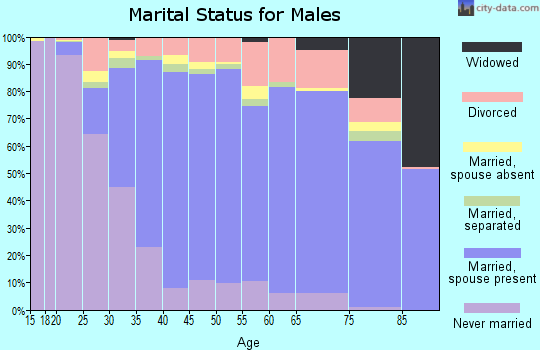 Fauquier County marital status for males