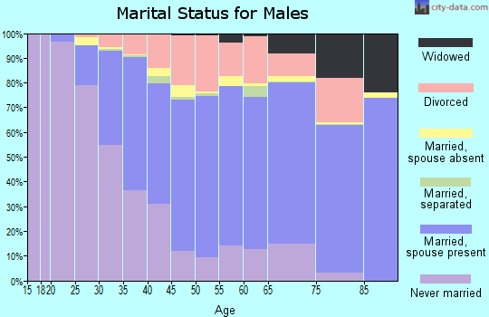 Monongalia County marital status for males