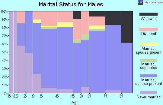 Republic County marital status for males