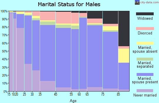 Wabasha County marital status for males
