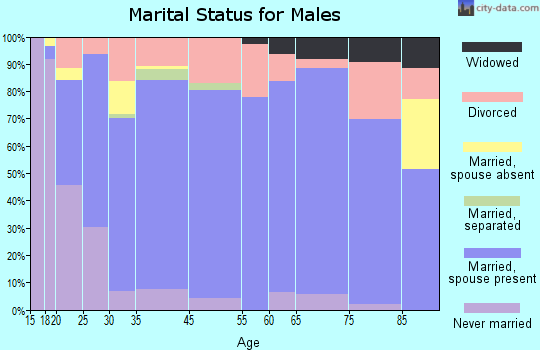 Jasper County marital status for males