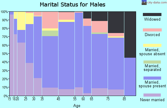 Tipton County marital status for males