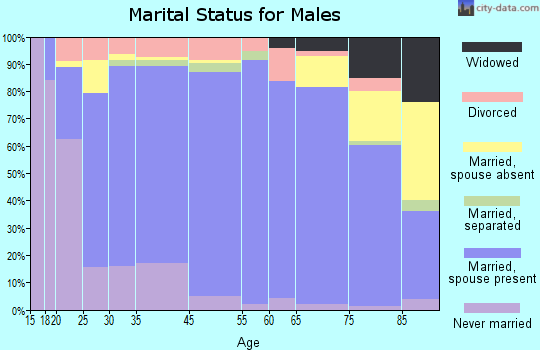 Rice County marital status for males