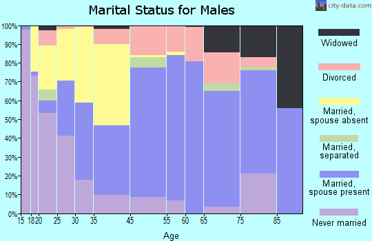 Winston County marital status for males