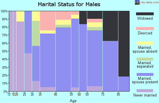 Washtenaw County marital status for males