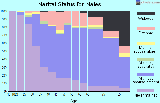 Niagara County marital status for males