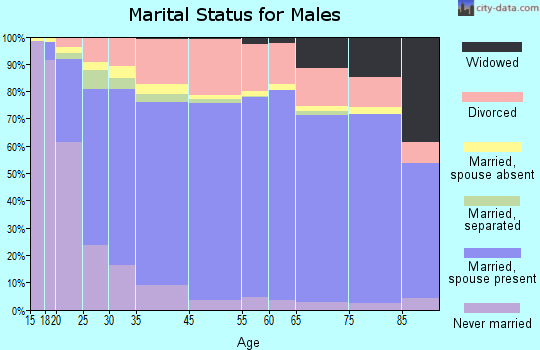 Lake and Peninsula Borough marital status for males