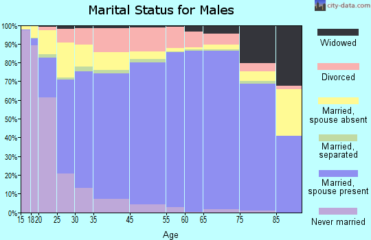 Saline County marital status for males
