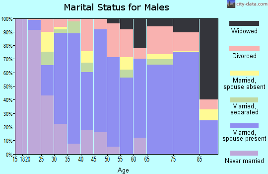 Camp County marital status for males