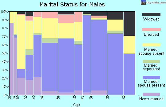 Shelby County marital status for males