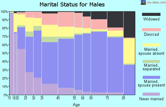 Menifee County marital status for males