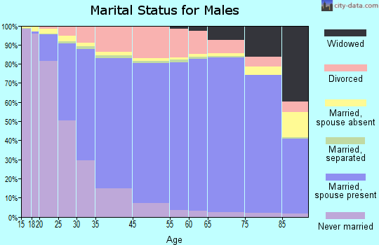Boone County marital status for males