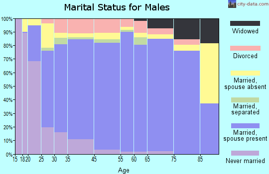 Vigo County marital status for males