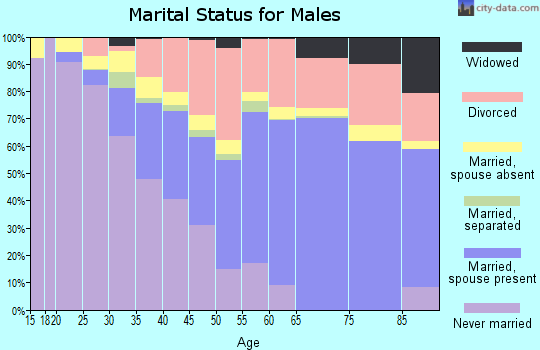 Polk County marital status for males
