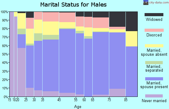 Hillsborough County marital status for males