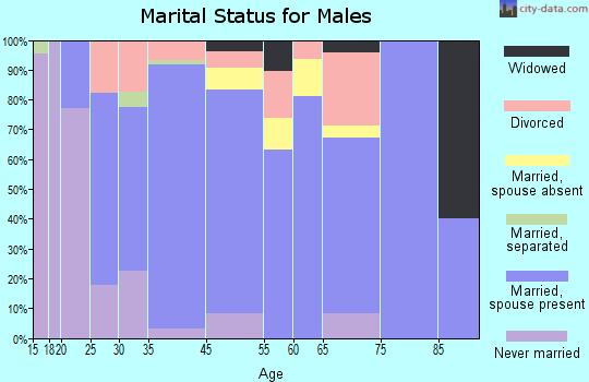 Saline County marital status for males