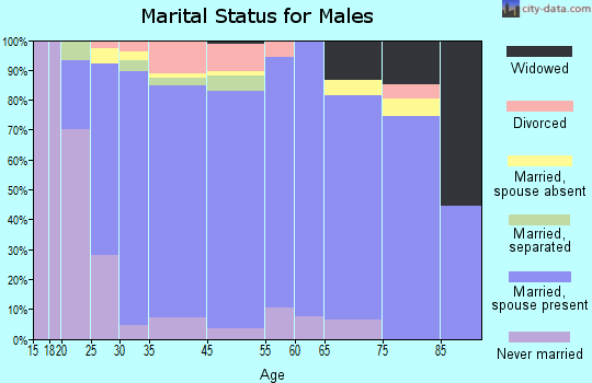 Winona County marital status for males