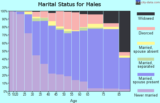 Ingham County marital status for males