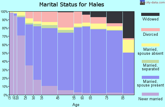 Matanuska-Susitna Borough marital status for males